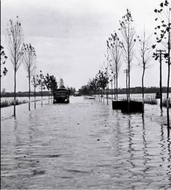 Immagine 2024 09 18 124029